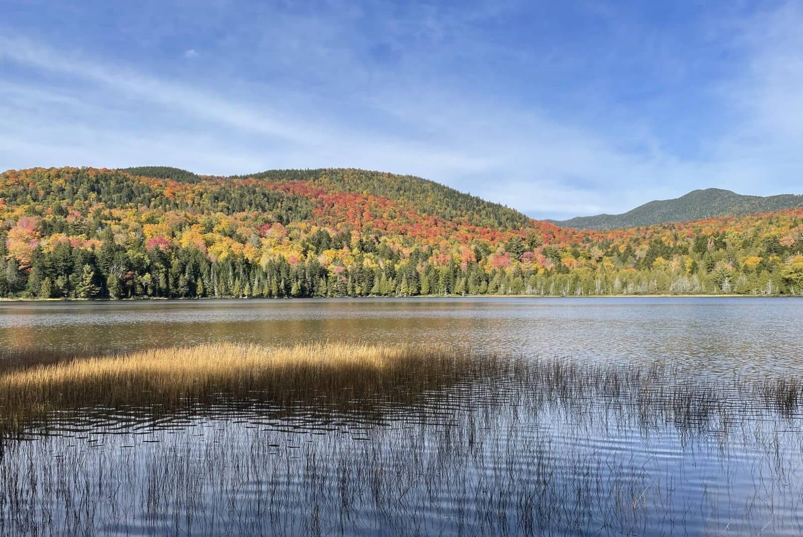 Fall foliage on a hillside above a Maine lake