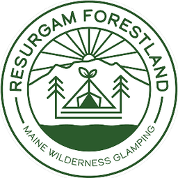 Resurgam Forestland (Hipcamp)